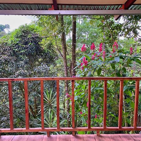 Princesa De La Luna Ecolodge La Fortuna Dış mekan fotoğraf