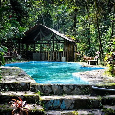 Princesa De La Luna Ecolodge La Fortuna Dış mekan fotoğraf