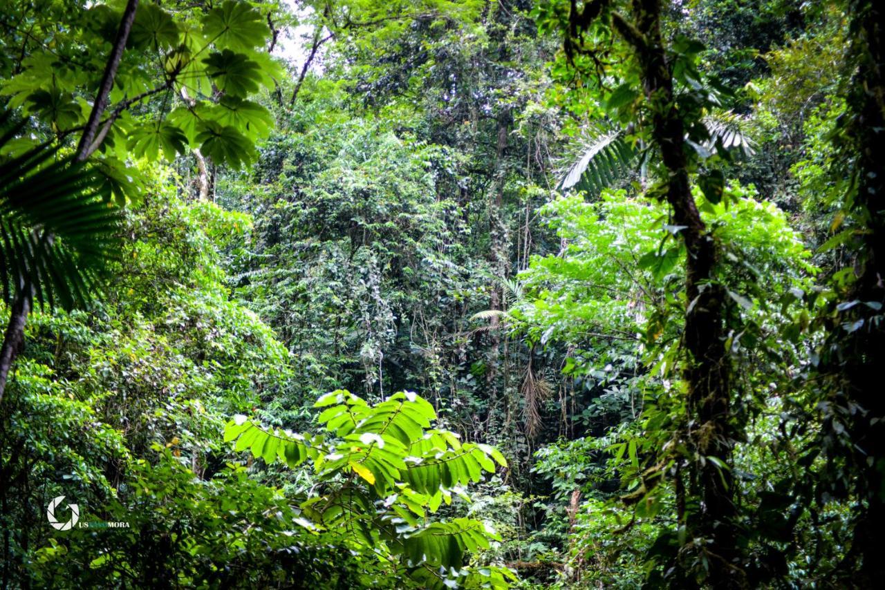 Princesa De La Luna Ecolodge La Fortuna Dış mekan fotoğraf