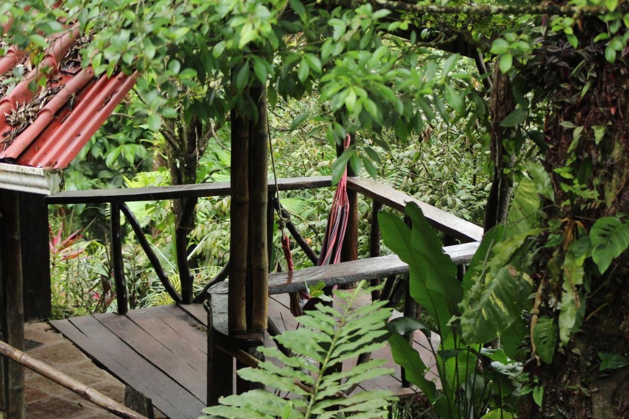 Princesa De La Luna Ecolodge La Fortuna Dış mekan fotoğraf