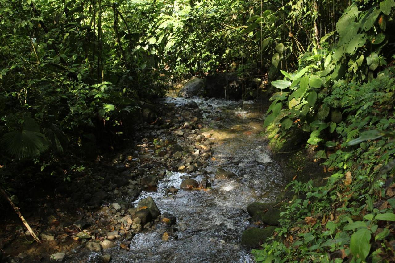 Princesa De La Luna Ecolodge La Fortuna Dış mekan fotoğraf