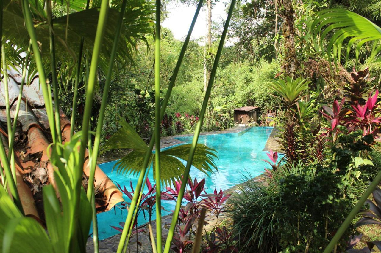 Princesa De La Luna Ecolodge La Fortuna Dış mekan fotoğraf