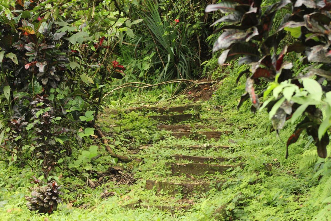 Princesa De La Luna Ecolodge La Fortuna Dış mekan fotoğraf
