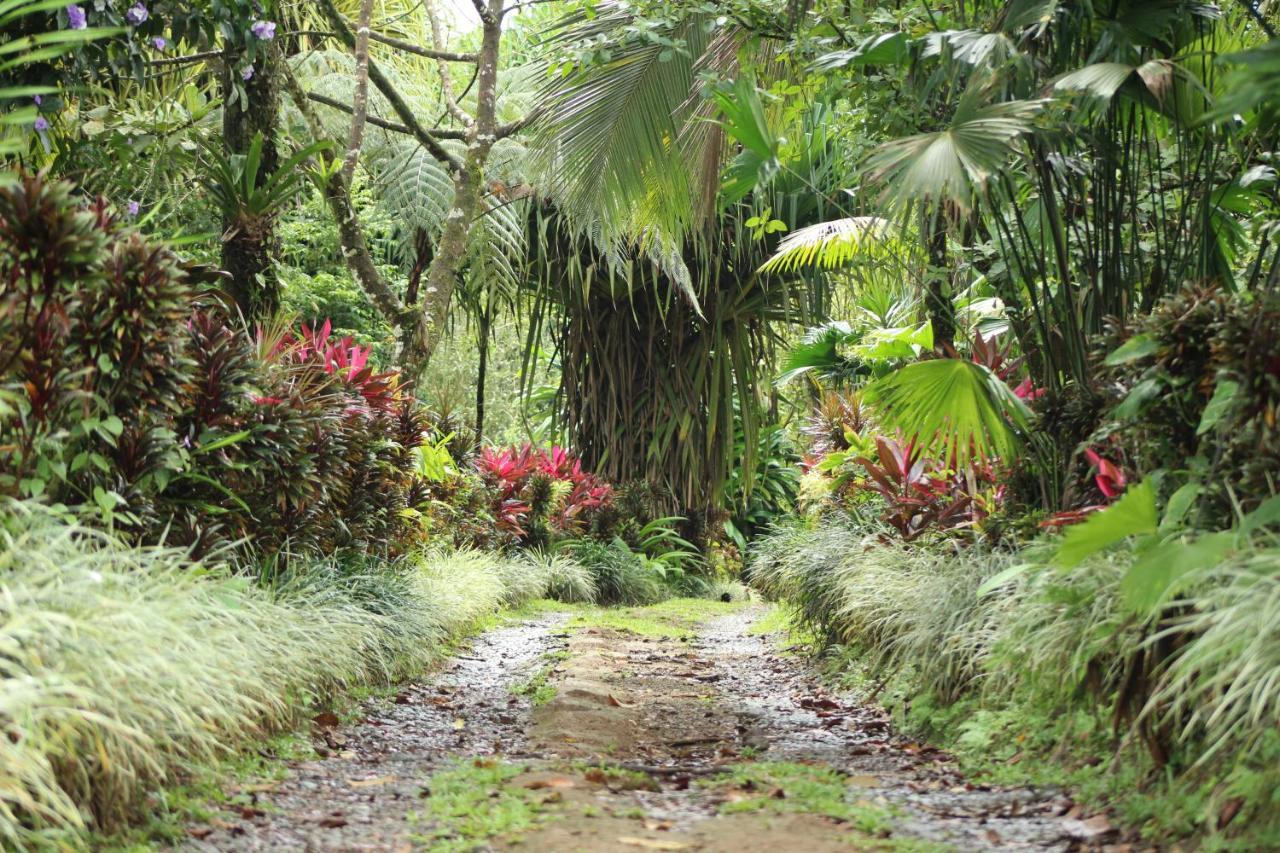 Princesa De La Luna Ecolodge La Fortuna Dış mekan fotoğraf