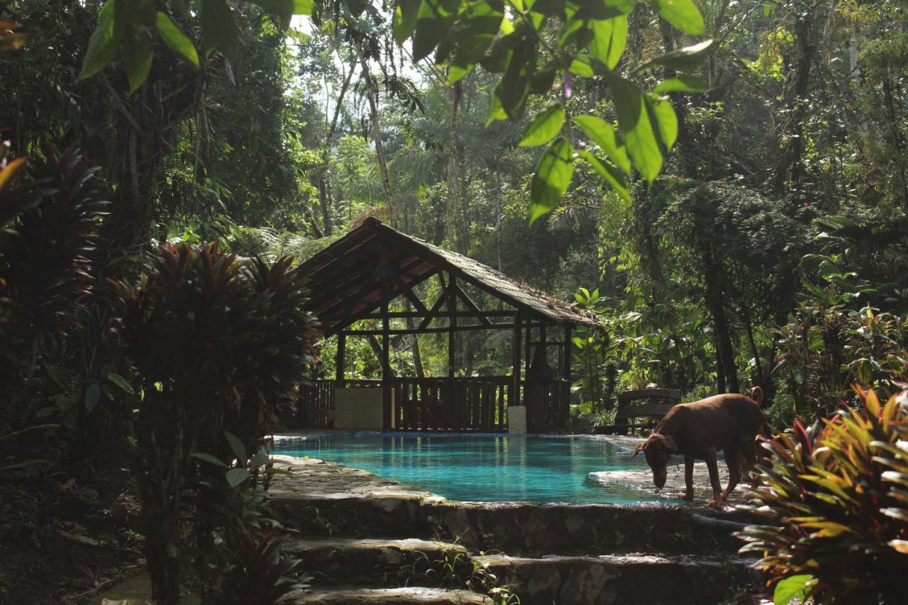 Princesa De La Luna Ecolodge La Fortuna Dış mekan fotoğraf