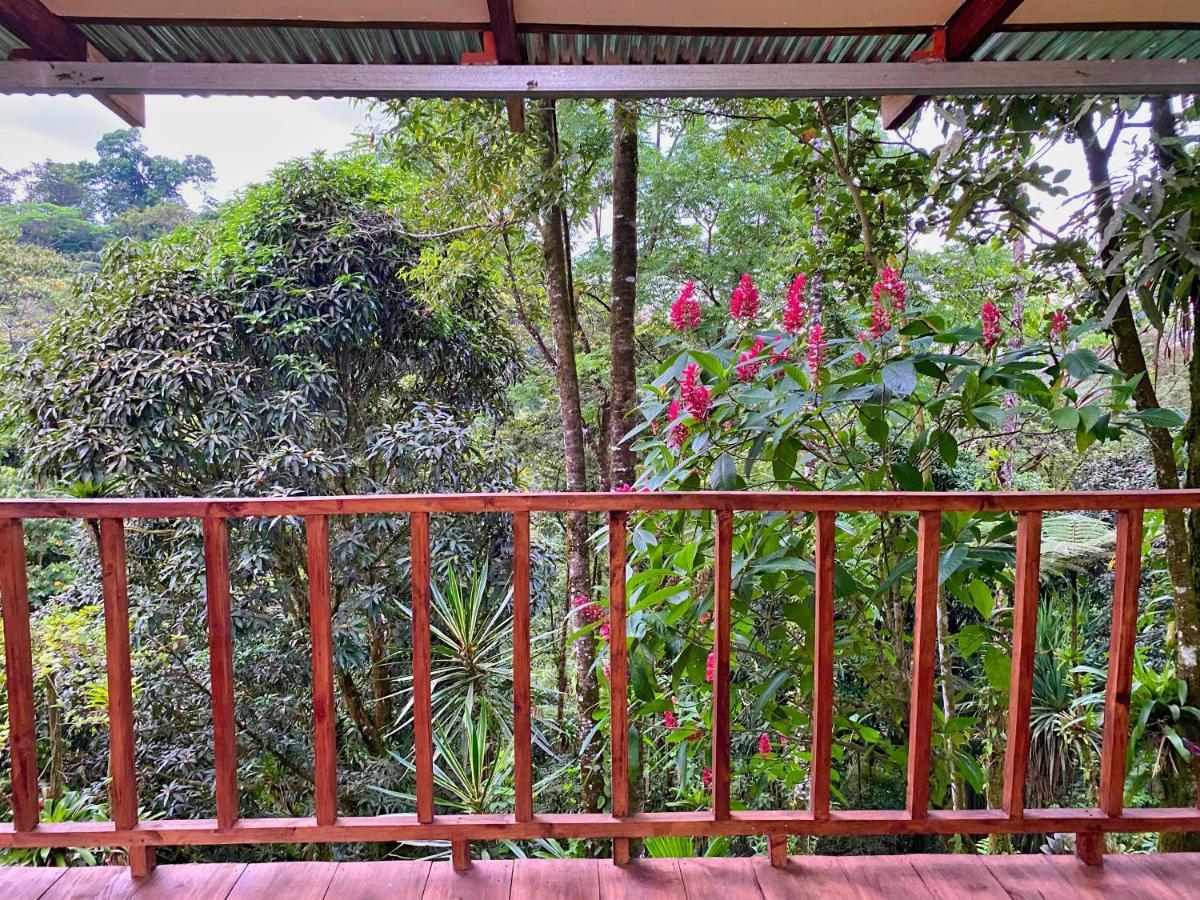 Princesa De La Luna Ecolodge La Fortuna Dış mekan fotoğraf
