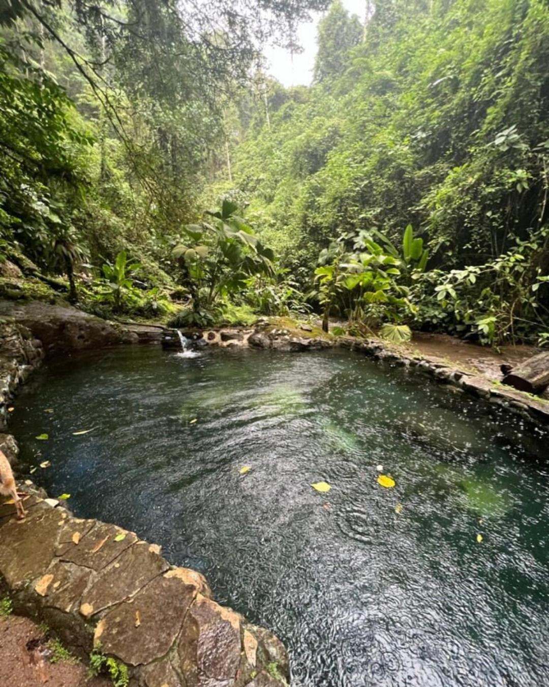 Princesa De La Luna Ecolodge La Fortuna Dış mekan fotoğraf