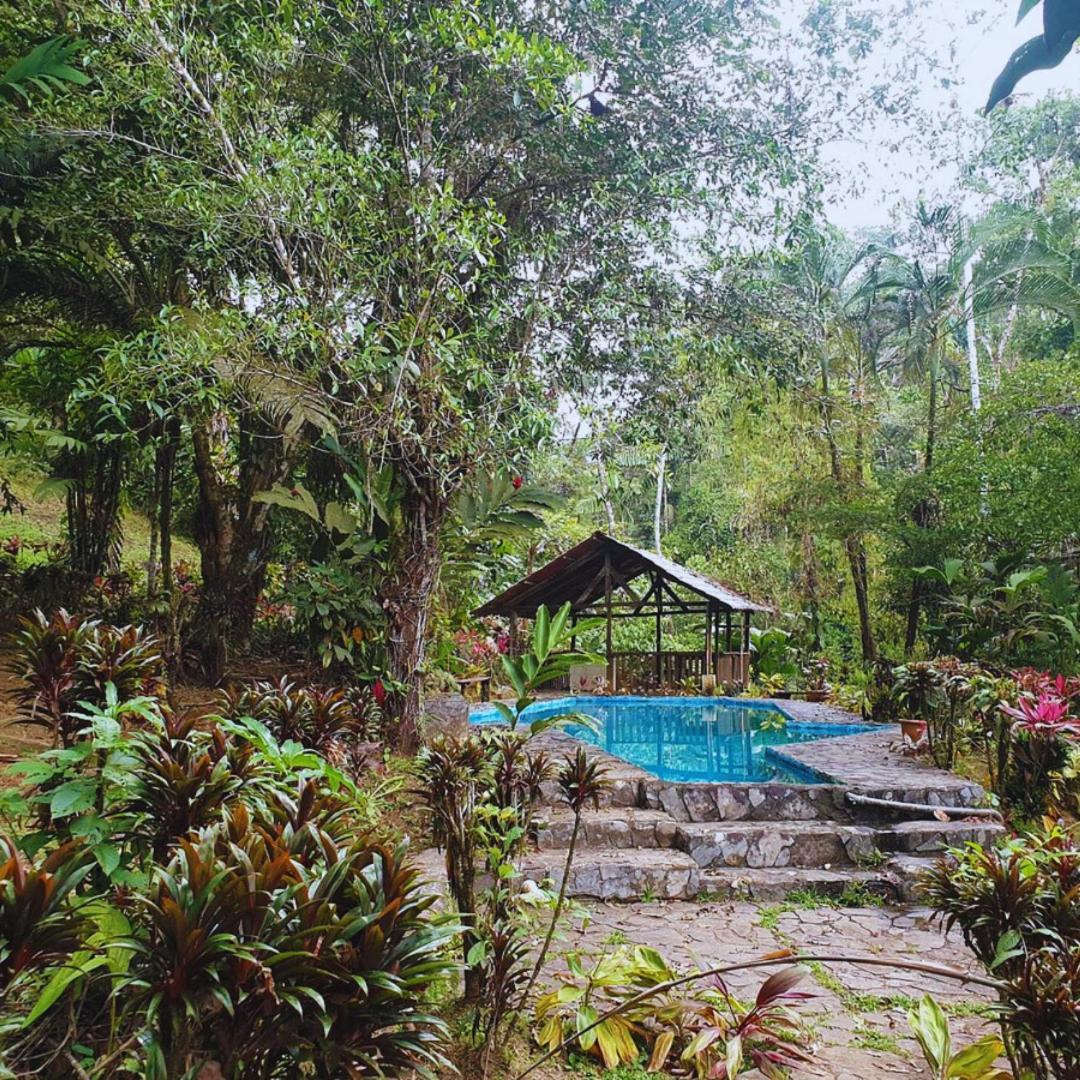 Princesa De La Luna Ecolodge La Fortuna Dış mekan fotoğraf