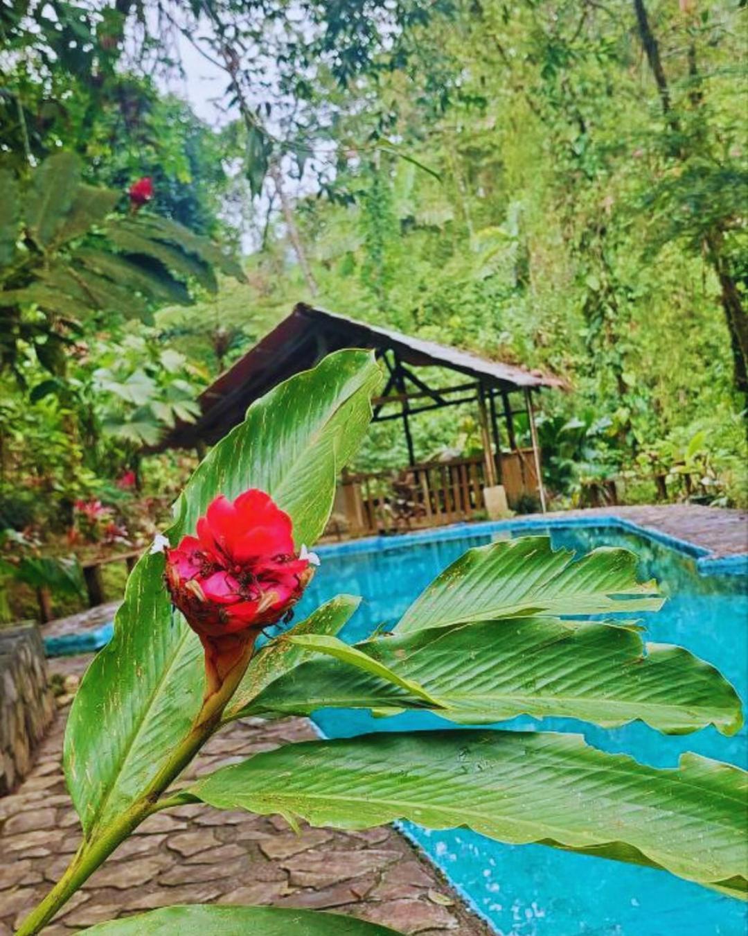 Princesa De La Luna Ecolodge La Fortuna Dış mekan fotoğraf