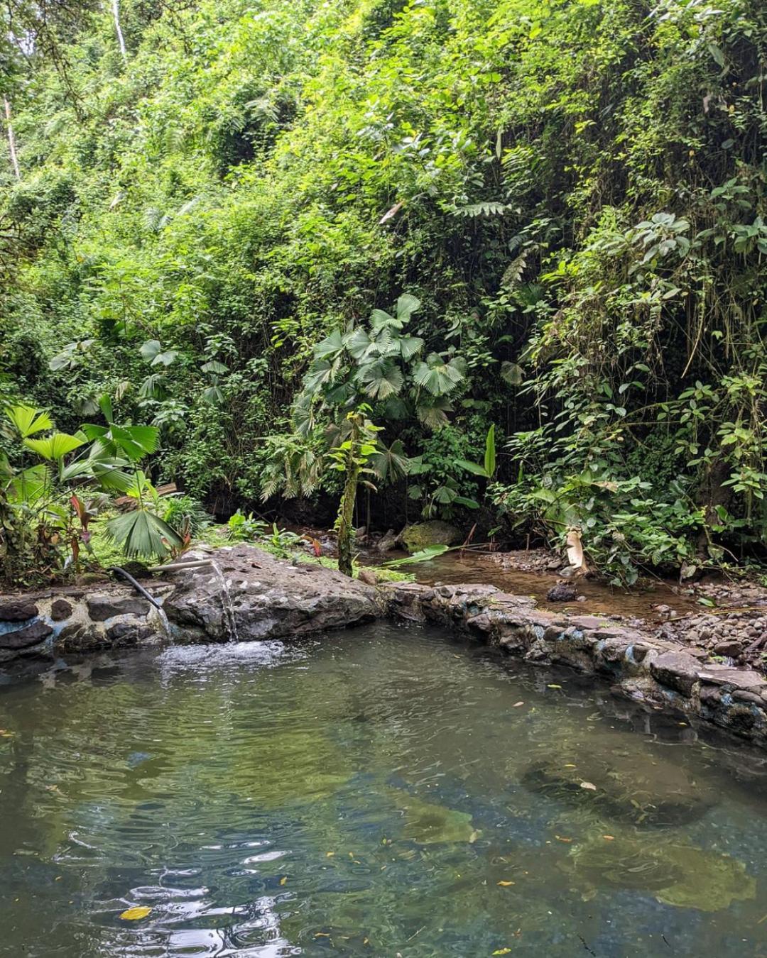 Princesa De La Luna Ecolodge La Fortuna Dış mekan fotoğraf