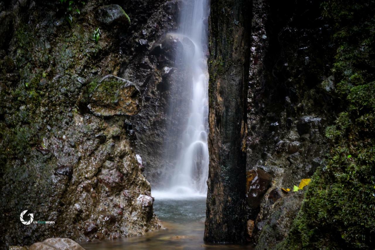 Princesa De La Luna Ecolodge La Fortuna Dış mekan fotoğraf