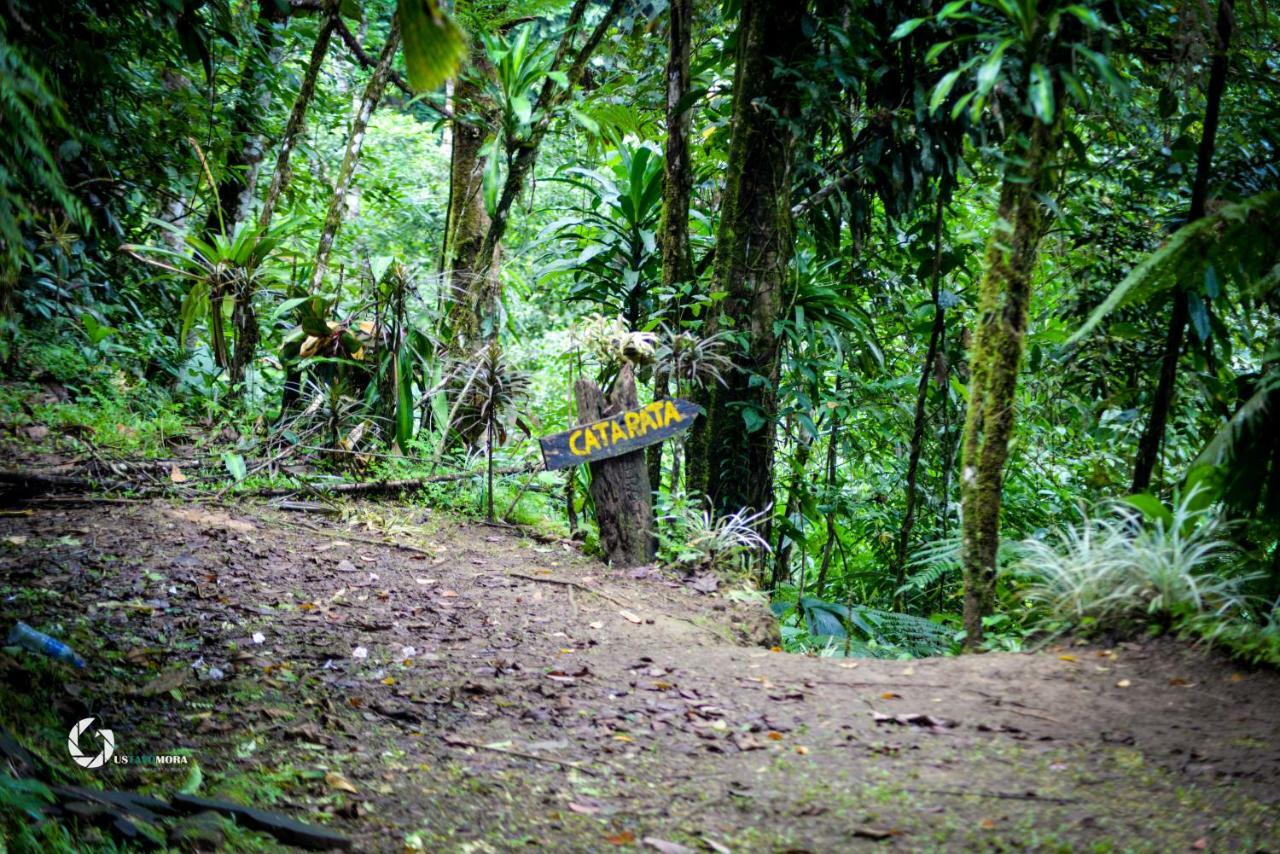 Princesa De La Luna Ecolodge La Fortuna Dış mekan fotoğraf