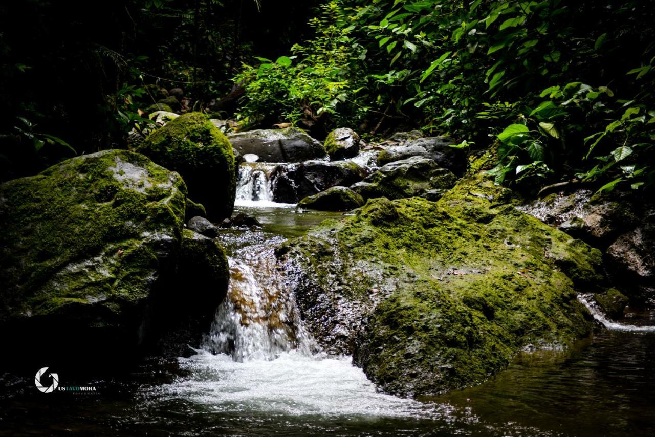 Princesa De La Luna Ecolodge La Fortuna Dış mekan fotoğraf