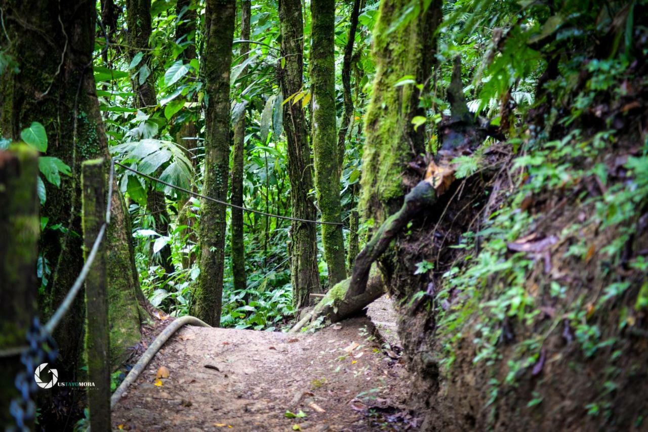 Princesa De La Luna Ecolodge La Fortuna Dış mekan fotoğraf