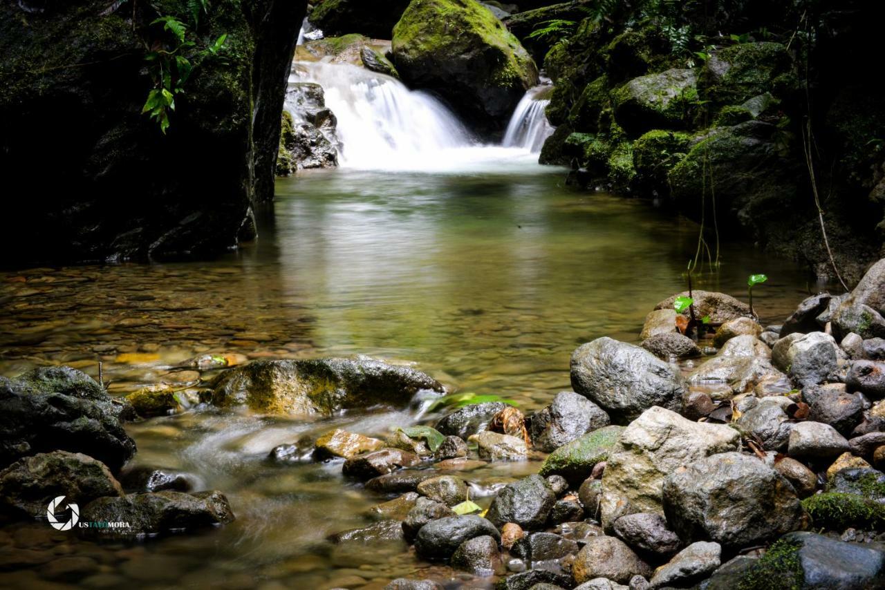 Princesa De La Luna Ecolodge La Fortuna Dış mekan fotoğraf