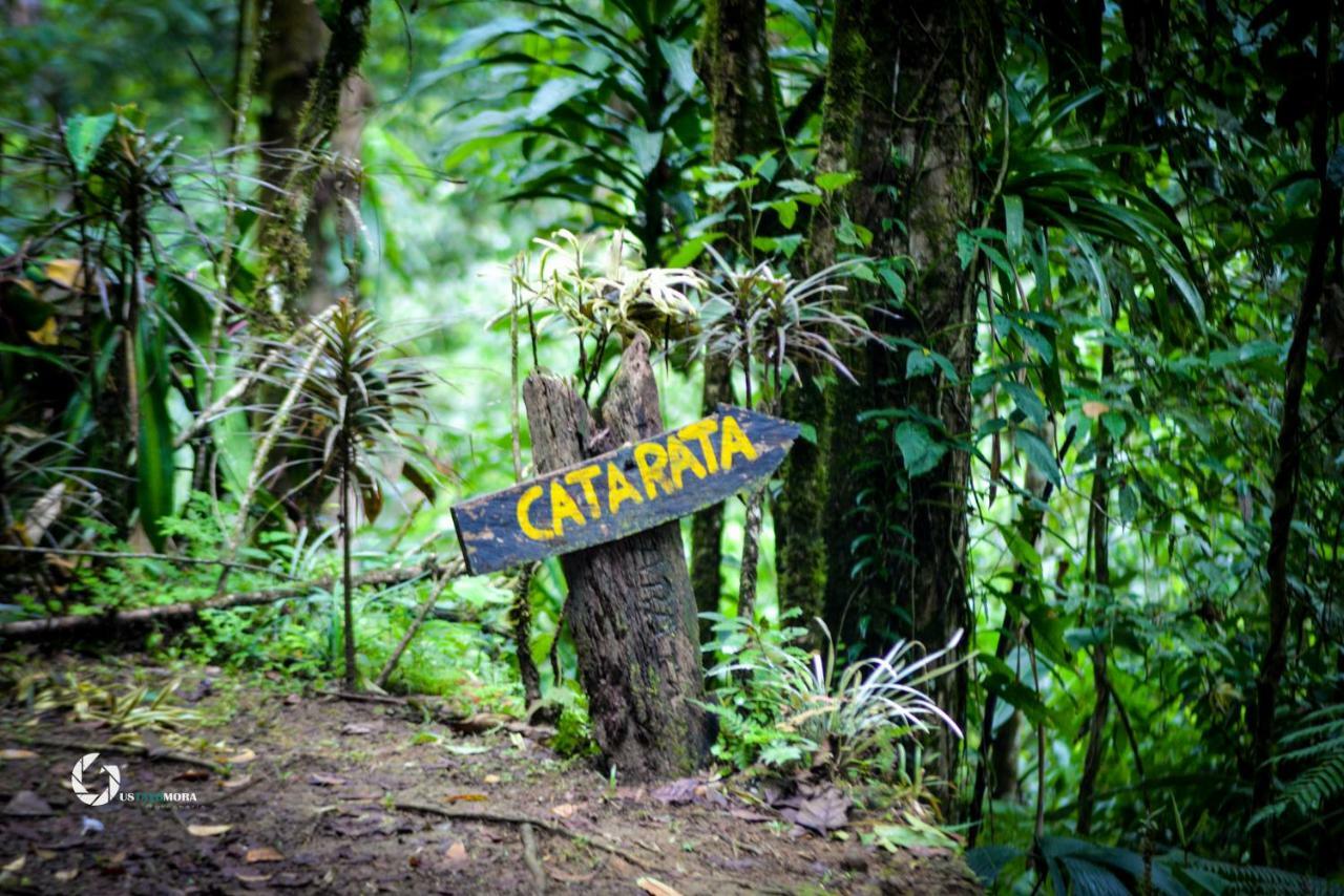 Princesa De La Luna Ecolodge La Fortuna Dış mekan fotoğraf