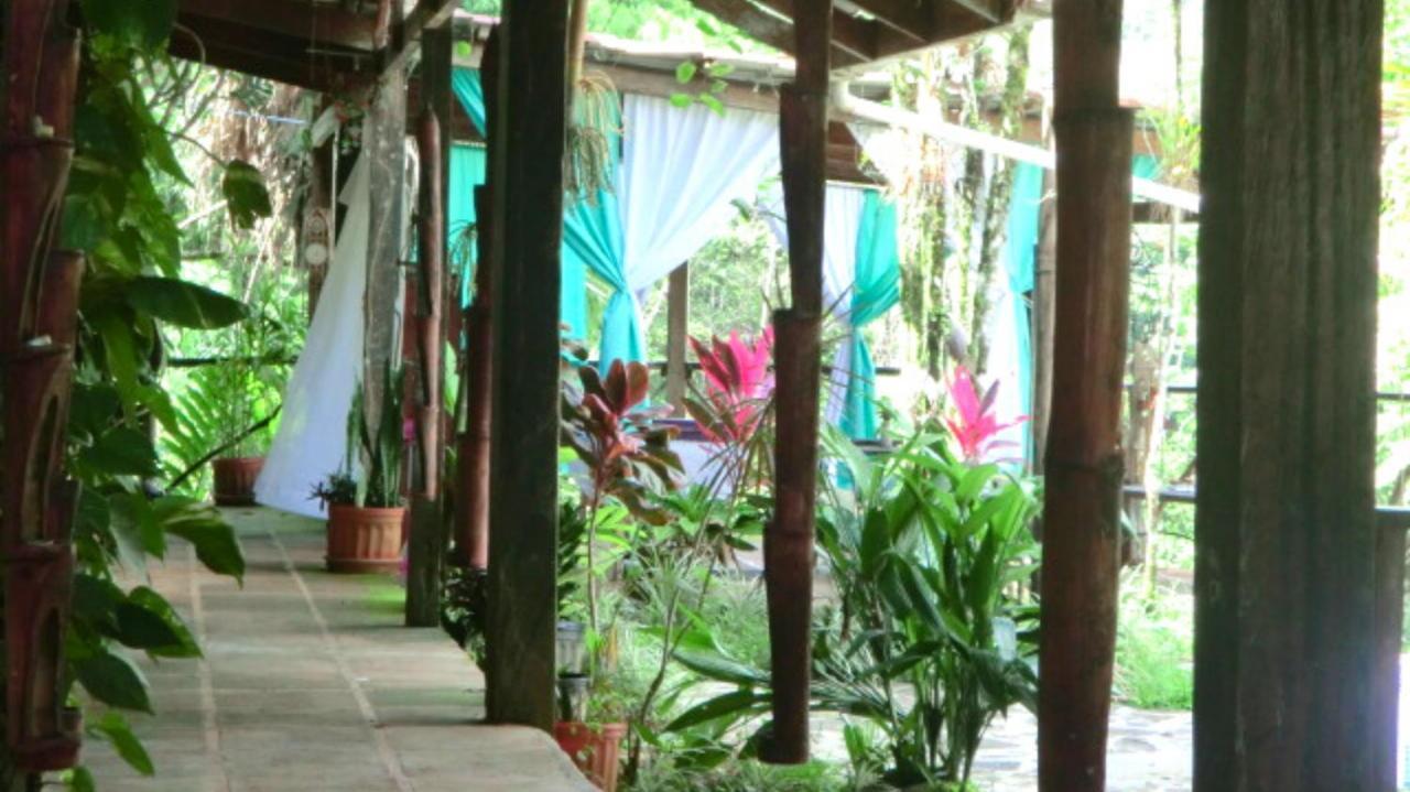Princesa De La Luna Ecolodge La Fortuna Dış mekan fotoğraf
